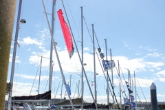 boats