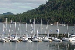 boats at dock