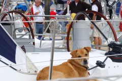 2008 Jeanneau Rendezvous