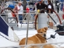 2008 Jeanneau Rendezvous