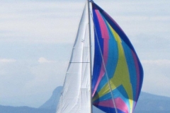 people sailing at event