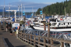 boats at dock