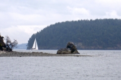 boat sailing