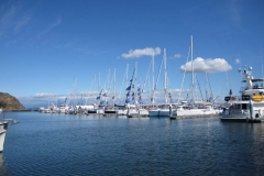 sailboats at dock
