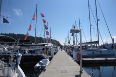 boats on dock