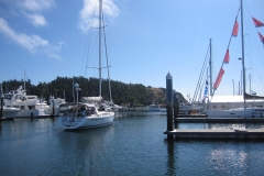 sailboat in marina