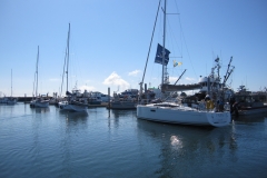sailboat in marina