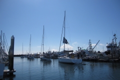 sailboat in marina