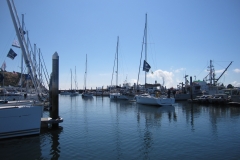 sailboat in marina