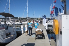 people on dock