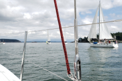 sailboats sailing