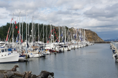 boats