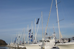 boats at dock 2021 Jeanneau Rendezvous