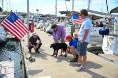 dog on dock