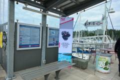 dock decor