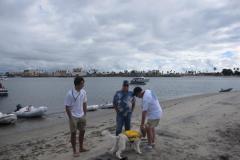 people on beach