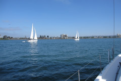 IMG_4329-Copy