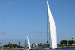 IMG_4330-Copy