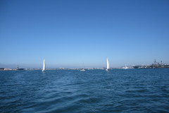 IMG_4340-Copy