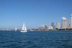 IMG_4341-Copy