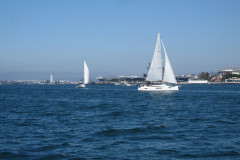 IMG_4342-Copy