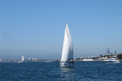 IMG_4347-Copy
