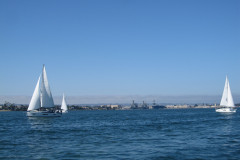 IMG_4348-Copy