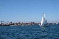 IMG_4350-Copy