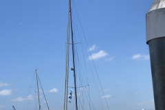 IMG_8613