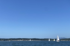 IMG_8631