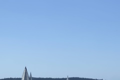 IMG_8643