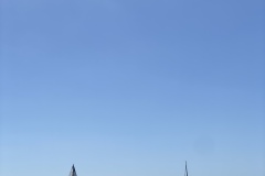 IMG_8645