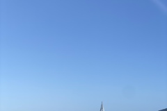 IMG_8650