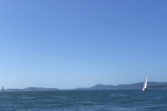 IMG_8651