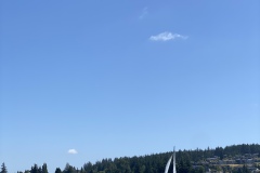 IMG_8654