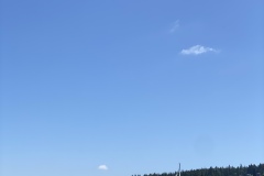 IMG_8655