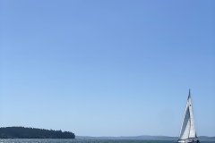 IMG_8664