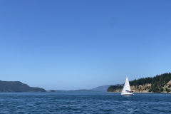 IMG_8674