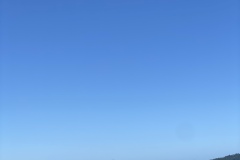 IMG_8694