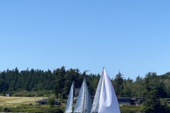 IMG_8707