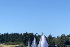 IMG_8708