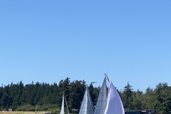 IMG_8709