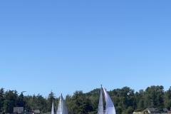 IMG_8712