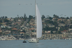 SoCal Jeanneau Rendezvous 2025 Sailing Shots